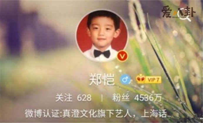 郑恺苗苗情侣头像