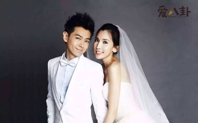 林志颖家人曾反对陈若仪和林志颖结婚