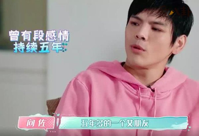 向佐自曝七段情史