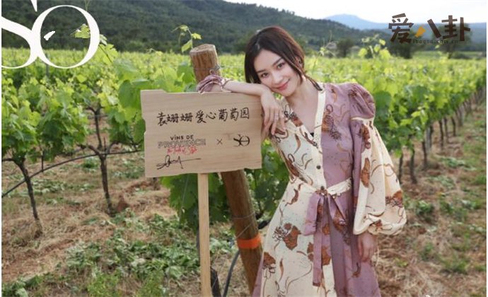 袁姗姗为什么会被黑
