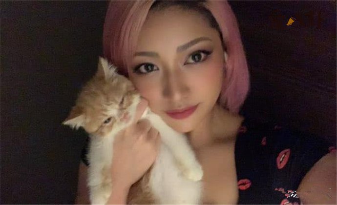 女星木村花的照片