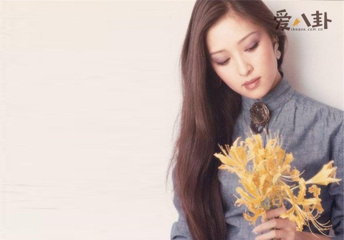 年轻时的胡因梦