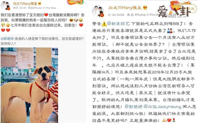 向太安慰郭碧婷