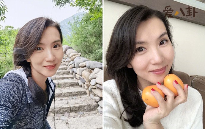 陈好与豪门老公的爱情故事