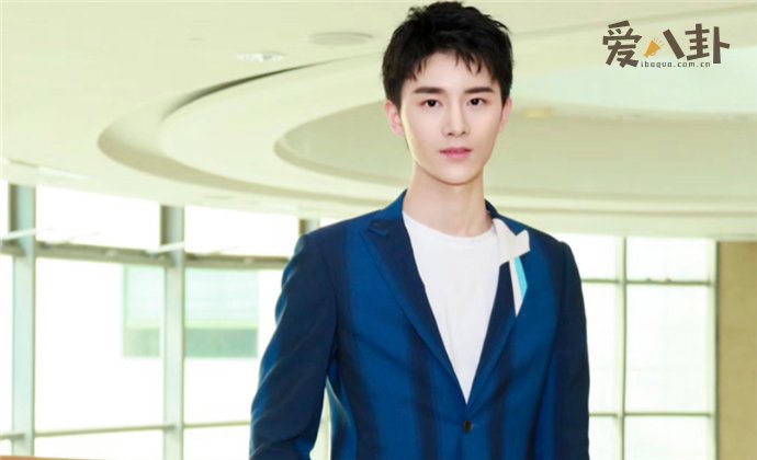 杨泽个人资料