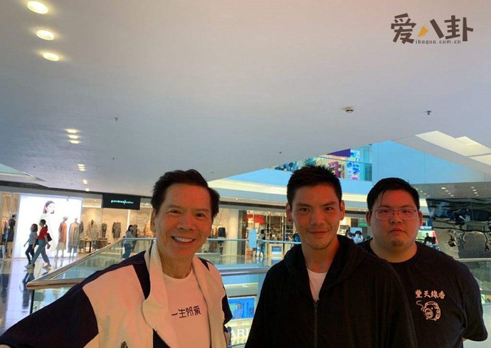 向佐和向佑是双胞胎吗