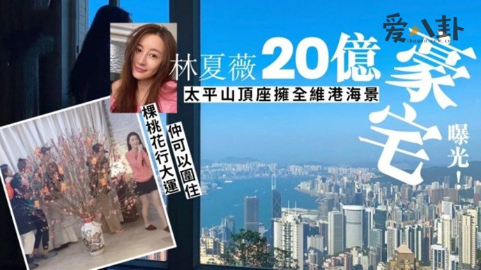 林峰堂妹林夏薇身价20亿