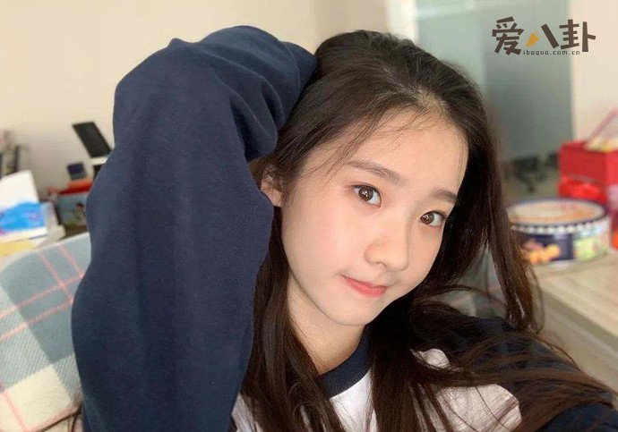 公司力捧张艺凡