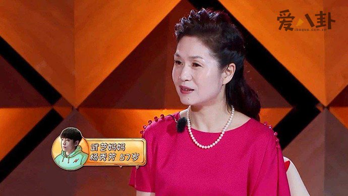 武艺的妈妈个人资料