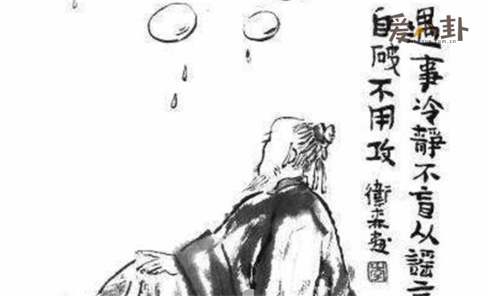 方媛用一张图片回复