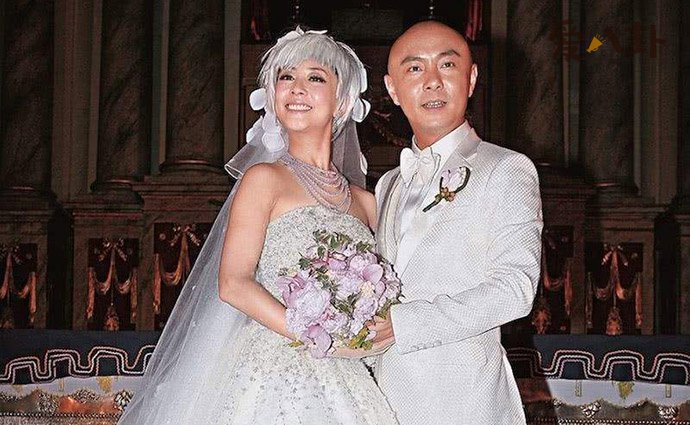 张卫健张茜结婚照片