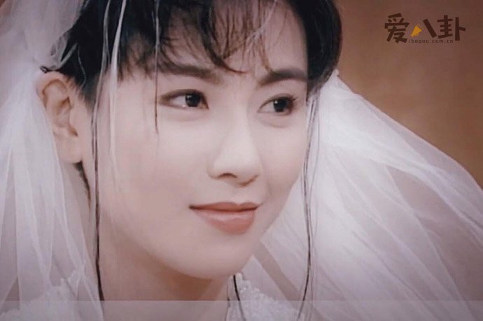 袁洁莹过往情史