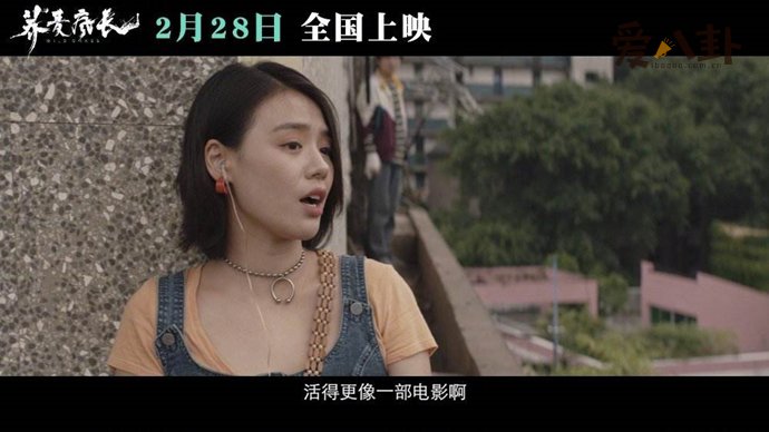 马思纯主演荞麦疯长