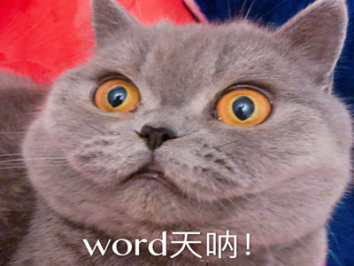 饭圈词汇上楼是什么意思 起底上楼真实含义