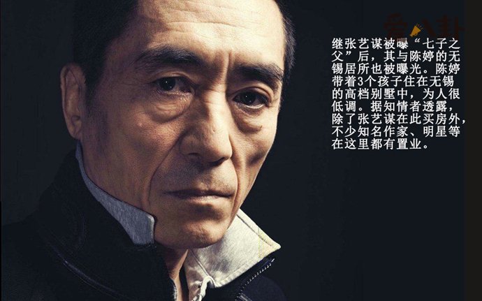 张艺谋七个孩子都是谁生的