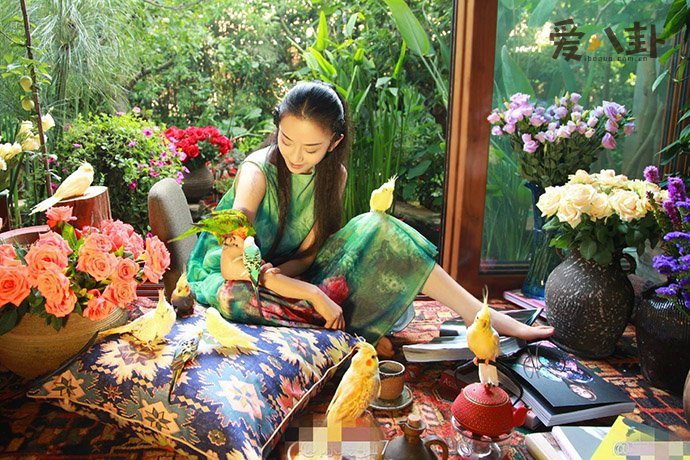 杨丽萍照片