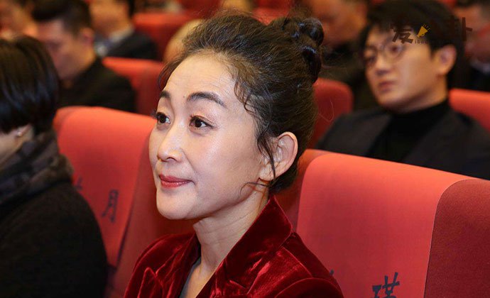 陈瑾不婚的原因