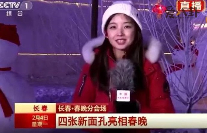 王冰冰个人资料