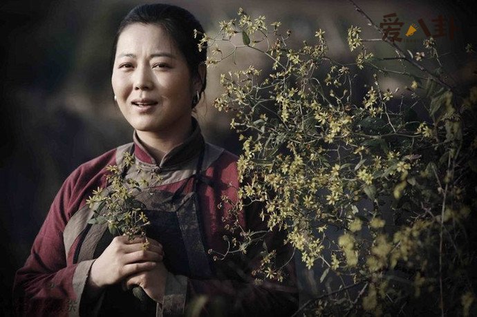 王茜华婚史