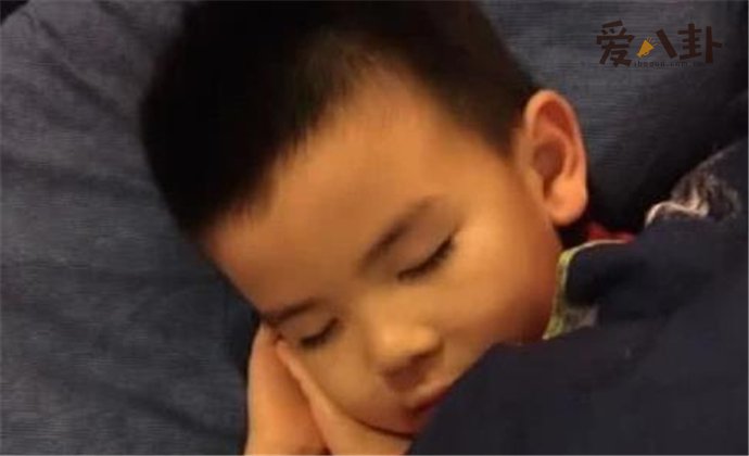 秦海璐儿子近照