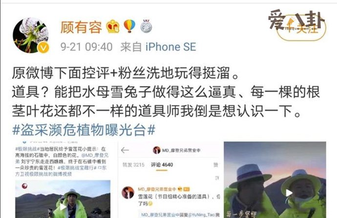 极挑嘉宾摘国家二级保护植物