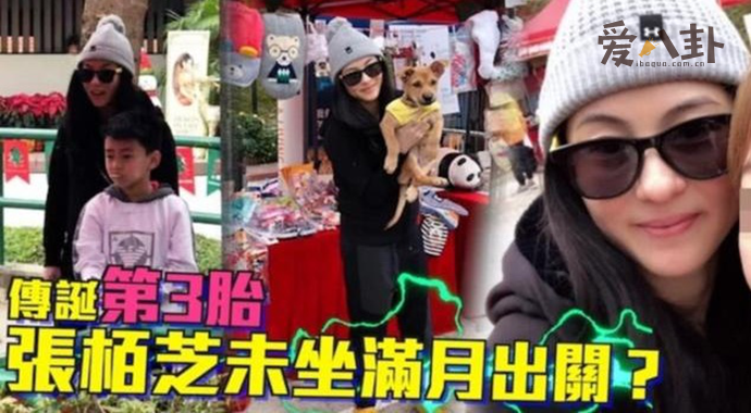 张柏芝三胎儿子生父身份成谜