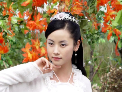 杨明娜老公是田亮吗 杨明娜疑与老公离婚起底真实离婚原因