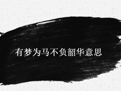 以梦为马不负韶华是什么意思 这句话出自哪里