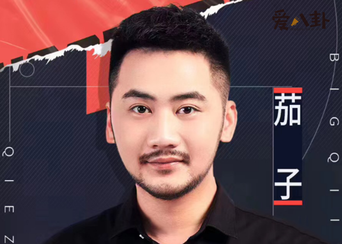 游戏主播茄子针不戳