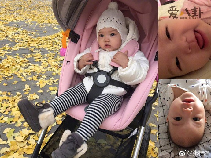 张梓琳女儿小时候