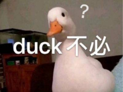 duck不必是什么梗 这个词是什么意思
