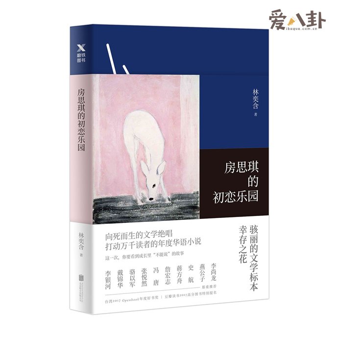 《房思琪的初恋乐园》