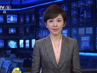 欧阳夏丹为什么不出来了 央视女主播消失了吗