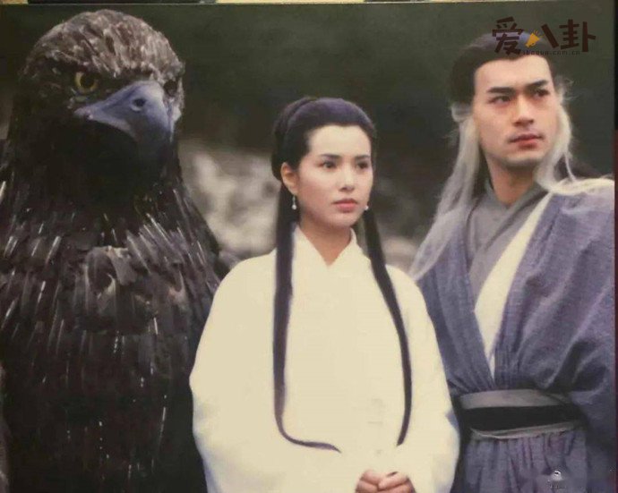 李若彤古天乐为何没在一起