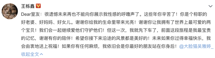 王栎鑫离婚是因为被家暴