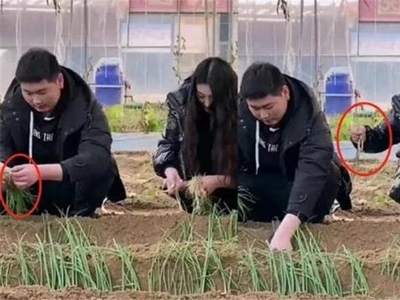 大衣哥儿媳种葱被批作秀 被爆未到法定年龄就结婚