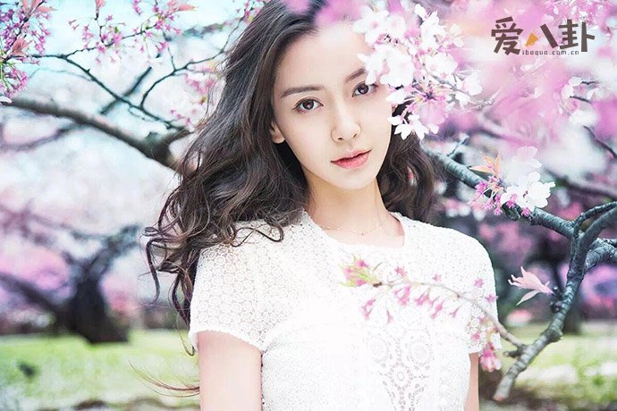 baby为什么叫天宝