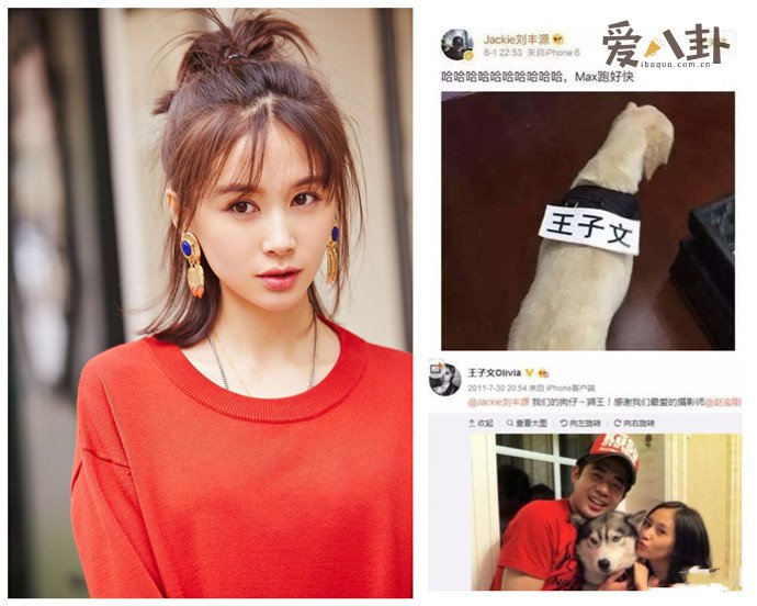 王子文刘丰源微博互动