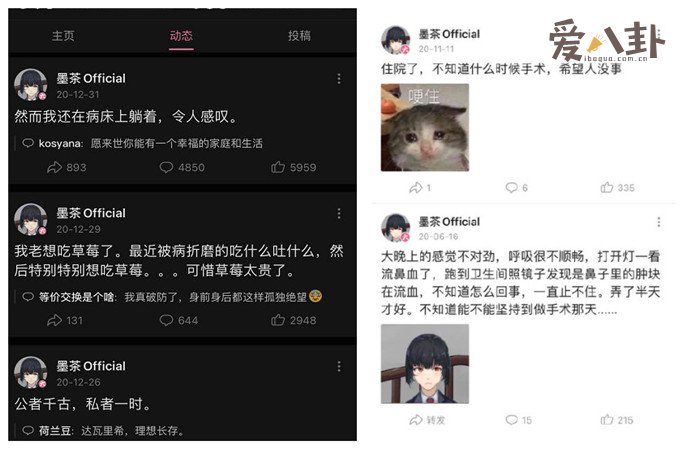 墨茶official动态
