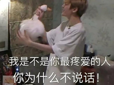 我是不是你最疼爱的人原唱是谁 歌词完整版