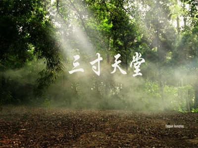 三寸日光是什么歌词 《步步惊心》主题曲走红