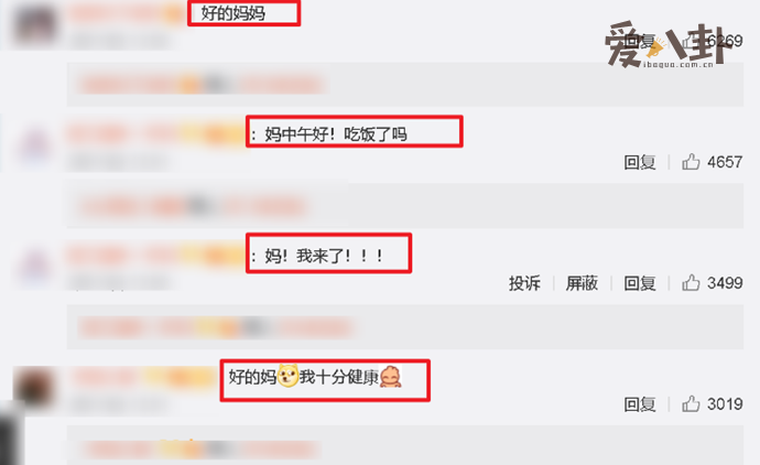 张小斐回应自己养不起这么多孩子