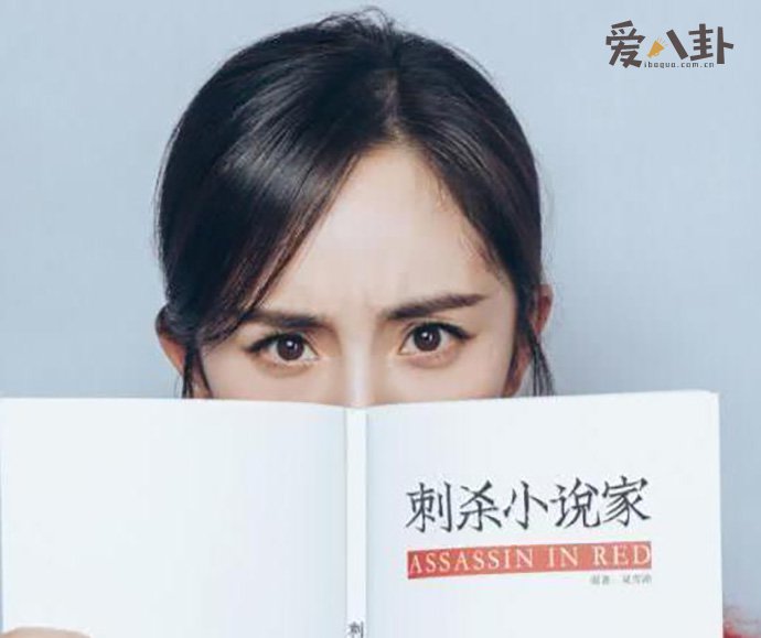 刺杀小说家屠0什么意思