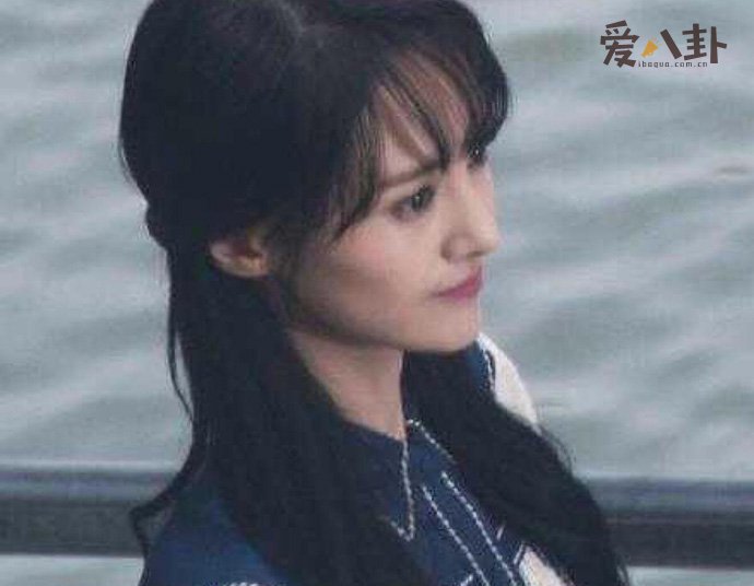 郑爽被封原因