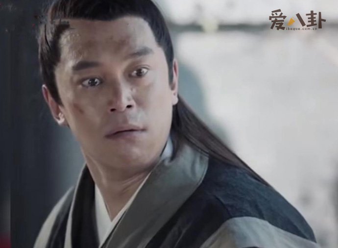 苏文兴是戴向宇主演的吗
