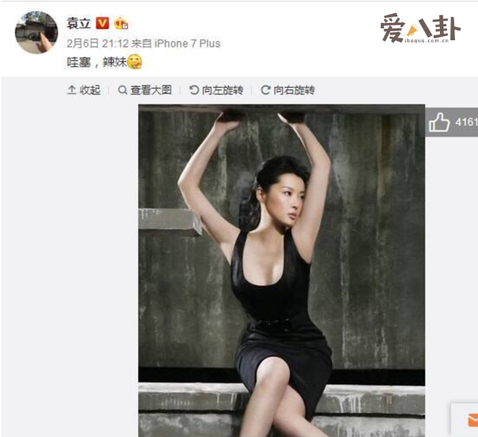袁立当年是很火的内地女演员