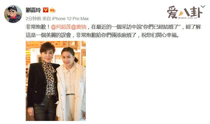 刘嘉玲和窦骁道歉