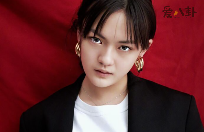 文淇家很富有吗