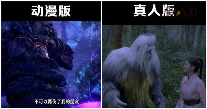 斗罗大陆真人版与动漫版对比