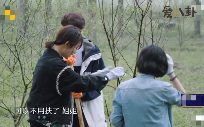 张艺兴叫杨紫姐姐
